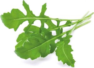 Click And Grow Refill rukola 3-pak 3