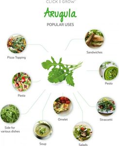 Click And Grow Refill rukola 3-pak 5