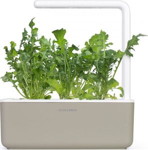 Click And Grow Refill rukola 3-pak 6