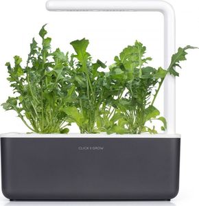 Click And Grow Refill rukola 3-pak 7