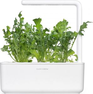 Click And Grow Refill rukola 3-pak 8