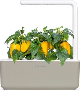 Click And Grow Click and Grow refill żółta papryka 3-pak 2