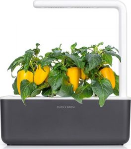 Click And Grow Click and Grow refill żółta papryka 3-pak 3