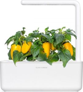 Click And Grow Click and Grow refill żółta papryka 3-pak 4