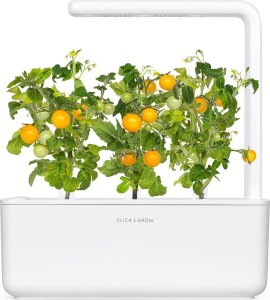 Click And Grow Click and Grow refill żółty pomidor 3-pak 4