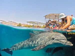 Alogy Wodoodporna obudowa etui Alogy Shoot dome port do GoPro 5/6/7 uniwersalny 11