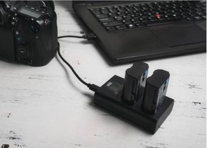 Ładowarka do aparatu Newell Ładowarka dwukanałowa DL-USB-C do akumulatorów AB1 do Osmo Action 6