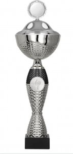 Victoria Sport Puchar metalowy z przykrywką 1