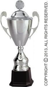 Victoria Sport Puchar metalowy srebrny z przykrywką 1