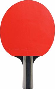 Cornilleau Zestaw Sport Duo 2