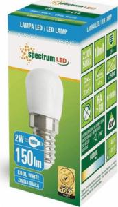 Spectrum LED Żarówka LED Tablicowe 230v 2W E14 CW Spectrum 3