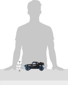 Amewi Dune Buggy Ghost 1:18 4WD RTR (22331) 9