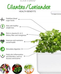 Click And Grow Refill kolendra 3-pak 3