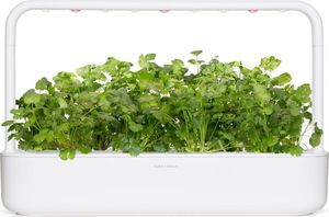 Click And Grow Refill kolendra 3-pak 6