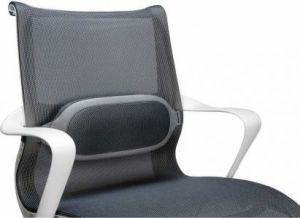 Fellowes podpórka lędźwiowa i-Spire (9311602) 3