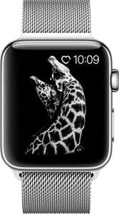 Alogy Bransoleta Milanese pasek Alogy do Apple Watch 1/2/3/4/5 38/40mm srebrna uniwersalny 3