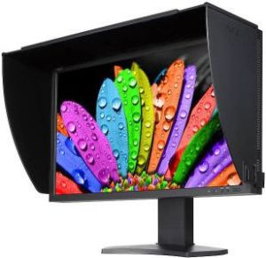 Monitor NEC SpectraView Reference 301 1
