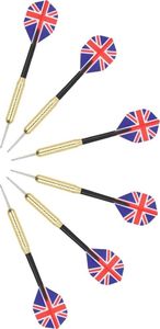 vidaXL Profesjonalna sizalowa tarcza do darta z 6 rzutkami 5