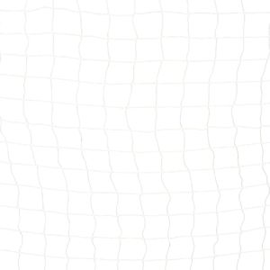 vidaXL Bramka do piłki nożnej, 300x200x90 cm, metalowa, czarno-biała 5