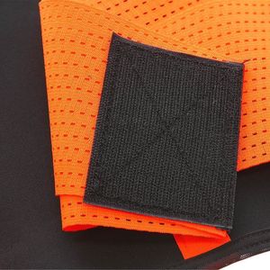 HMS Pas stabilizujący r. L/XL (PS121) 8