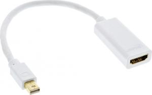 Adapter AV InLine DisplayPort Mini - HDMI biały (17193K) 1