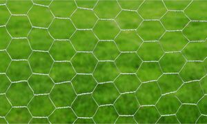 vidaXL Ogrodzenie z siatki, stal galwanizowana, 25x0,75 m, srebrne 3