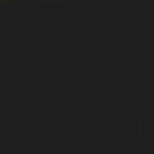 vidaXL Markiza zwijana, 300 x 150 cm, antracytowa 2