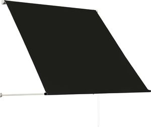 vidaXL Markiza zwijana, 100 x 150 cm, antracytowa 3