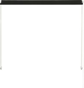 vidaXL Markiza zwijana, 100 x 150 cm, antracytowa 5