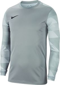 Nike Nike JR Dry Park IV koszulka bramkarska 052 : Rozmiar - 164 cm (CJ6072-052) - 23588_200799 1