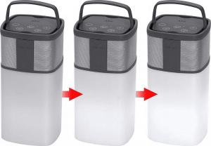 Głośnik AEG BSS 4841 szary (400697) 4