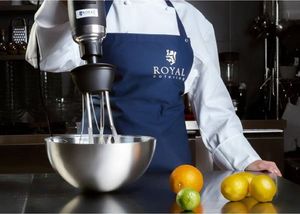 Royal Catering Mocny mikser blender robot ręczny z trzepaczką 500W 230V Royal Catering () - 385118-uniw 7