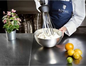 Royal Catering Mocny mikser blender robot ręczny z trzepaczką 500W 230V Royal Catering () - 385118-uniw 8