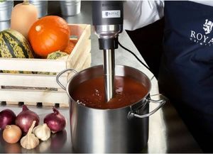 Royal Catering Mocny mikser blender robot ręczny dł. ramienia 300mm 500W 230V Royal Catering 8