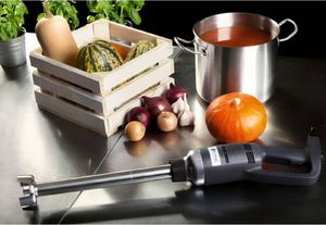 Royal Catering Mocny mikser blender robot ręczny dł. ramienia 400mm 350W 230V Royal Catering 2