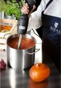 Royal Catering Mocny mikser blender robot ręczny dł. ramienia 400mm 350W 230V Royal Catering 4