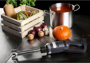 Royal Catering Mocny mikser blender robot ręczny dł. ramienia 300mm 350W 230V Royal Catering 3