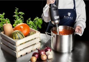 Royal Catering Mocny mikser blender robot ręczny dł. ramienia 300mm 350W 230V Royal Catering 4