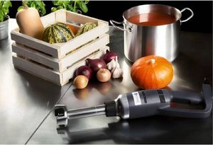 Royal Catering Mocny mikser blender robot ręczny dł. ramienia 250mm 350W 230V Royal Catering 3