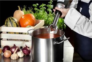 Royal Catering Mocny mikser blender robot ręczny dł. ramienia 250mm 350W 230V Royal Catering 4