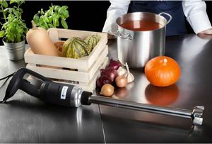 Royal Catering Mocny mikser blender robot ręczny dł. ramienia 500mm 500W 230V Royal Catering 7