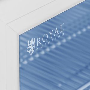 Witryna chłodnicza Royal Catering Lodówka szafa chłodnicza na napoje butelki puszki 2-drzwiowa sklepowa barowa z oświetleniem LED 600L 3