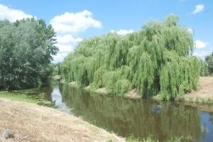 Filtr Caiul Zestaw Filtrów Filtry 4w1 do FujiFilm INSTAX MINI 90 9