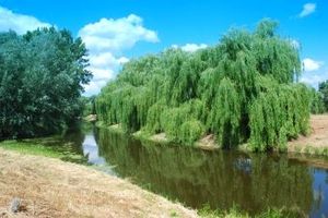 Filtr Caiul Zestaw Filtrów Filtry 4w1 do FujiFilm INSTAX MINI 90 10