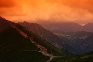 Filtr Seagull Filtr połówkowy tabaczkowy 62mm 4