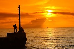 Filtr Seagull Filtr połówkowy tabaczkowy 62mm 5