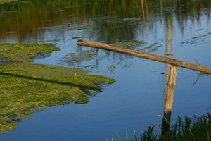 Filtr Seagull Filtr połówkowy niebieski 37mm 3