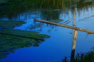 Filtr Seagull Filtr połówkowy niebieski 37mm 4