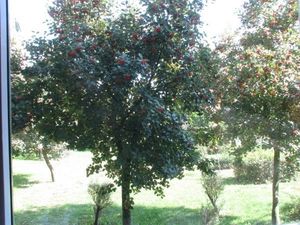 Filtr Seagull Zestaw filtrów 72mm - CPL / UV / SZARY POŁÓWKOWY 5