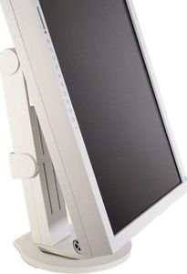 Monitor poleasingowy Eizo Monitor Eizo FlexScan S2433W 24" PVA 1920x1200 DisplayPort D-SUB Biały uniwersalny 3